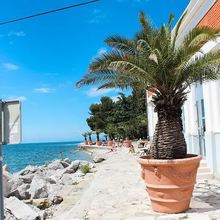 Blue Sails Apartment Izola, Old City Center Exterior foto